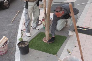 Interventi Città Pulita (2)