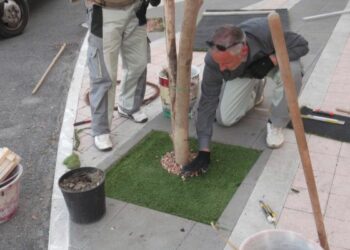 Ciro’ Marina, abbelliti gli alberelli dietro la chiesa di San Cataldo