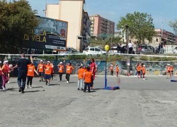 Pallavolo, passo falso del Crotone: obiettivo playoff nell’ultima giornata