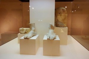 Piedi di Apollo esposti a Ciro' Marina