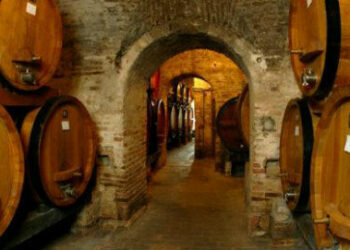 Enoteca Regionale, continua la polemica dopo le dimissioni del Cda