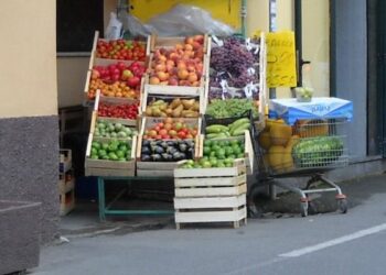 Asp Catanzaro dice basta alla frutta venduta per strada