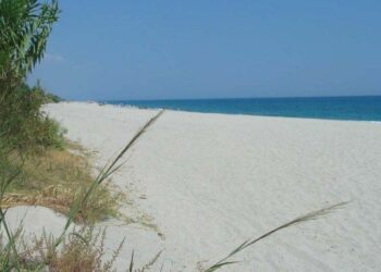 I pediatri italiani premiano Mirto Crosia con la Bandiera Verde