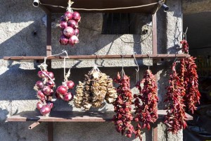 peperoncini_e_cipolle