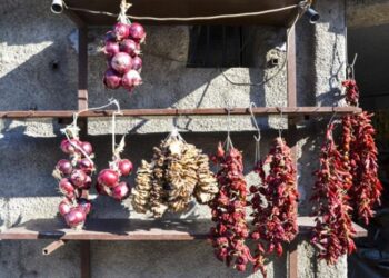 Calabria, prima Italia: la Rai alla scoperta della nostra regione