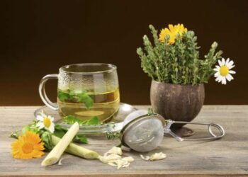 Le piante medicinali del meridione d’Italia in un libro