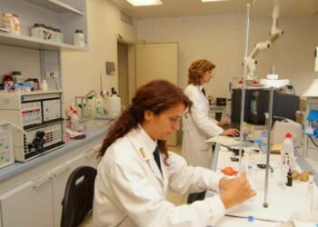 La Polizia di Stato cerca fisici, biologi e ingegneri: 35 posti