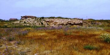 Rondine topino per la prima volta a Isola Capo Rizzuto