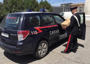 Pagano corriere con assegni falsi, nei guai due fratelli di Crotone