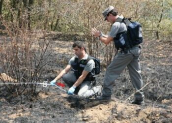 Incendio boschivo a Savelli, denunciato 57enne