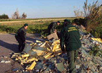 Richiamo illegale e maltrattamenti cani, denunce a Crotone