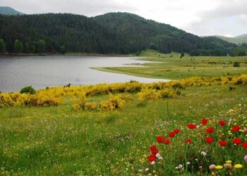 Cotronei, tre progetti da 5 mln per promuovere il turismo