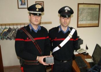 Furto energia elettrica per 50mila euro, panettiere nei guai nel catanzarese