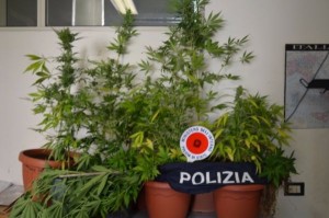 Un arresto per droga a Crotone