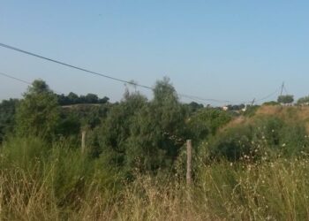 Disservizi Telecom a Scandale: pali cadenti e cavi a penzoloni