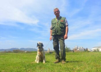 Ciro’ Marina, gara su quaglie nelle Vurghe