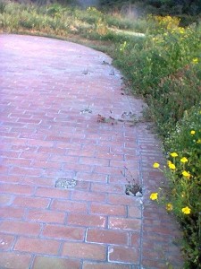 Passerella senza le panchine