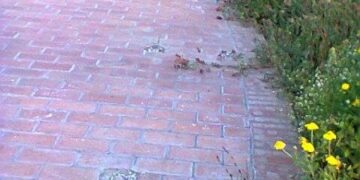 Ciro’, vandali prendono di mira la zona a mare