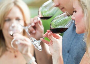 Corso gratuito per Sommelier e Assaggiatore a Ciro’ Marina