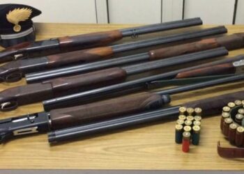 Fucili e pistola in casolare a Reggio Calabria, tre arresti