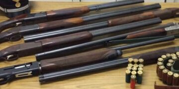 Fucili e pistola in casolare a Reggio Calabria, tre arresti