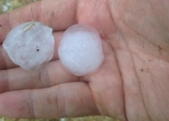 Violenta grandinata nel crotonese, i danni maggiori per vigneti