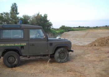 Realizza abusivamente canale di scolo, denunciato 51enne a Rocca di Neto