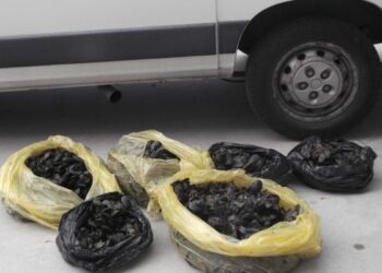 Sequestrati 110 kg di cozze nel porto di Crotone