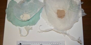 Xator fiuta eroina in casa, arrestata 22enne crotonese