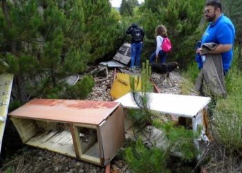 Rigogliosa vegetazione e rifiuti sulla ferrovia silana
