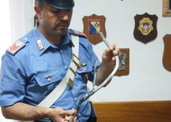 Furto di energia elettrica a Caccuri, arrestato operaio