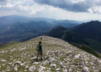 Rincorrendo farfalle in Sila e sul Pollino, in Calabria arriva ‘Butterfly Week’