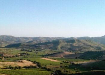 Dalla Calabria solo vini eccellenti come il Lumare