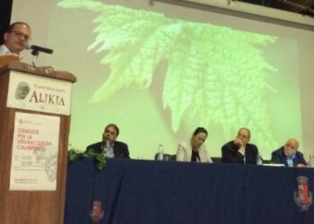 Il Sindaco di Ciro’ esprime plauso per l’intervento conclusivo del Governatore Oliverio sulla vitivinicoltura