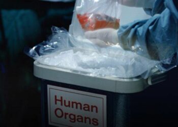 Donazione organi, Garante: ok consenso su carta d’identita’