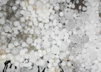 Grandinata devastante per i vigneti di Ciro’