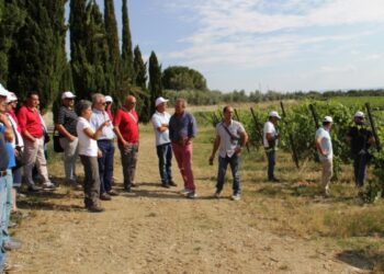 Vignaioli del Ciro’ visitano la Toscana