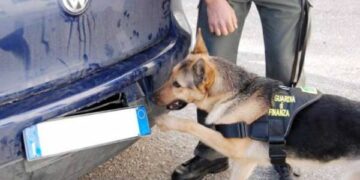 Nasconde cocaina in auto, albanese arrestato grazie al fiuto del cane