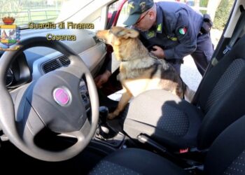 Auto smontata in officina per trovare la droga, infallibile fiuto di ‘Achy’