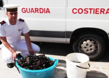 Sequestrati 20 kg di cozze nel porto vecchio di Crotone