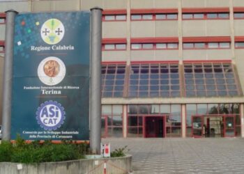 Manomesso impianto idrico Fondazione Terina a Lamezia