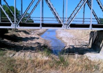 Pulitura dell’Alveo del fiume alla Marinella