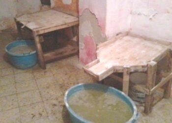 Sequestrata tonnellata di formaggio a Cosenza