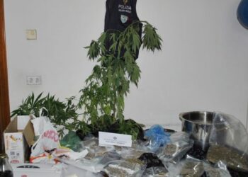 Coltivava marijuana, arrestato cosentino: in casa appunti con nomi e numeri