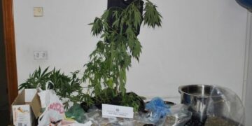 Coltivava marijuana, arrestato cosentino: in casa appunti con nomi e numeri