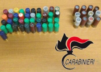 Sequestro di munizioni in casolari abbandonati nel reggino