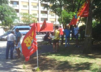 Lsu-Lpu, iniziati i presidi in Calabria