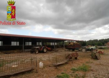 ‘Ndrangheta, sequestro beni al boss Teodoro Crea