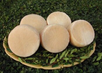 Formaggi senza latte, Coldiretti Calabria protesta a Roma