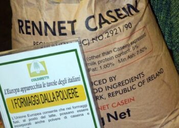 Con latte in polvere addio ai formaggi tipici calabresi